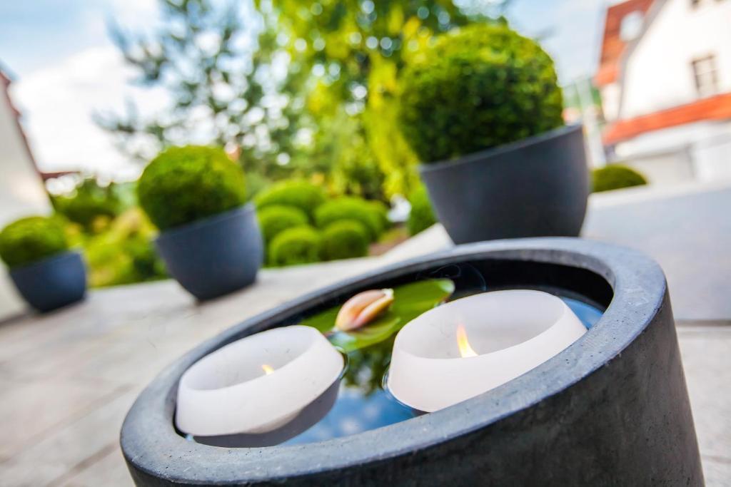 Boutique-Hotel Villa Anna Eisenach Exteriér fotografie